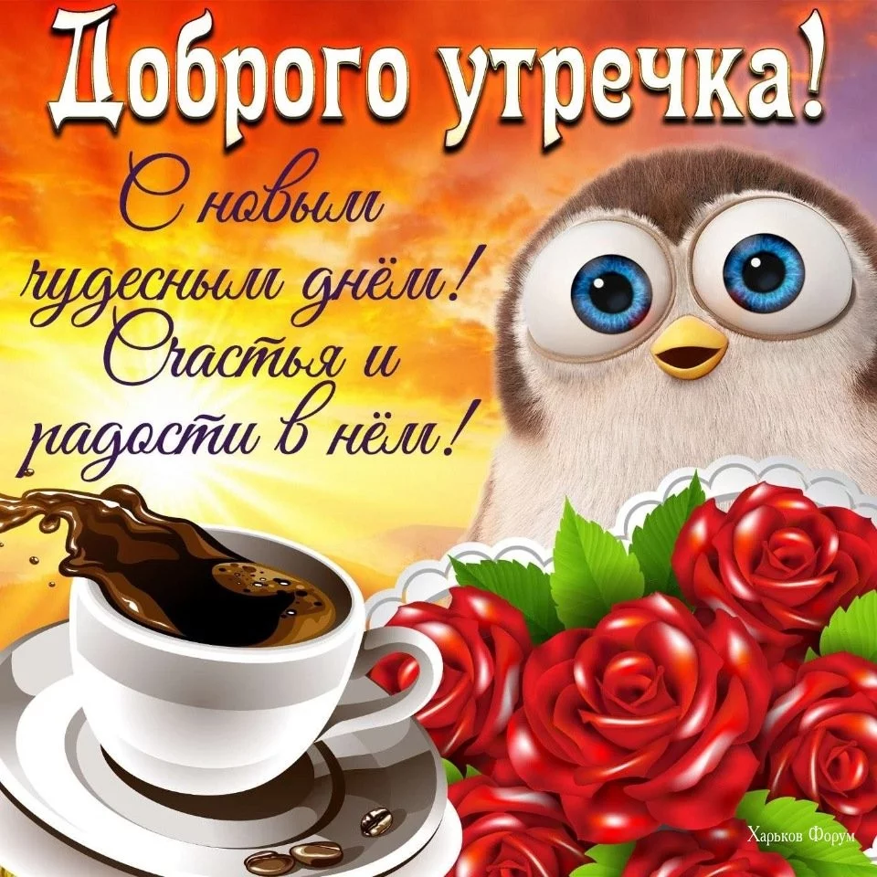 f4bfc8c471324c7a1.webp
