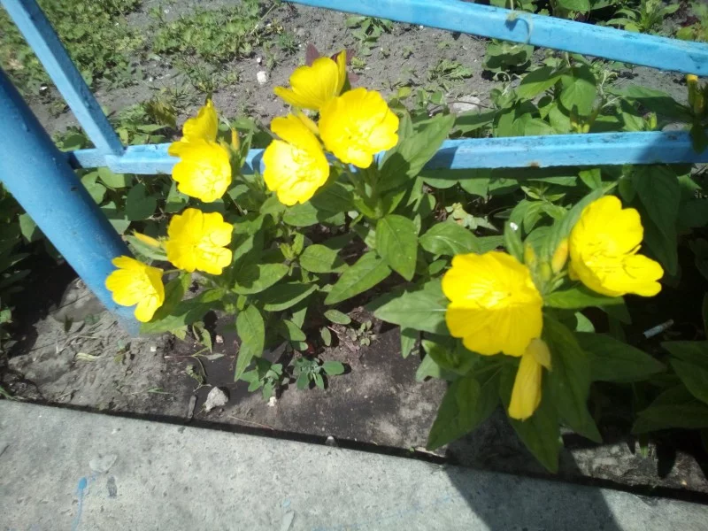 f4d073.webp