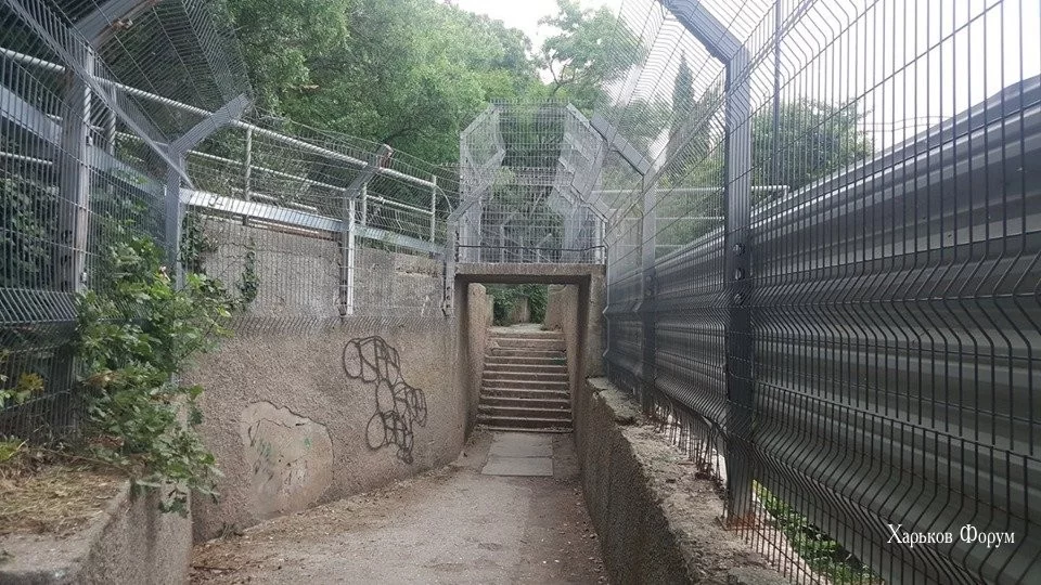f4d08311f00ec180c8.webp