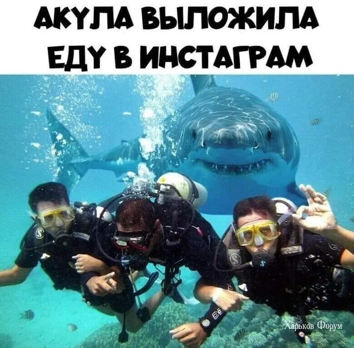 f4d415d6971c3b8144.webp