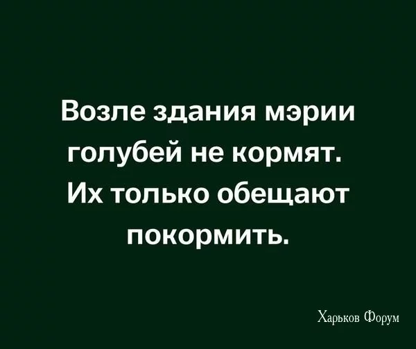 f4dd975fa74a513157ce92.webp
