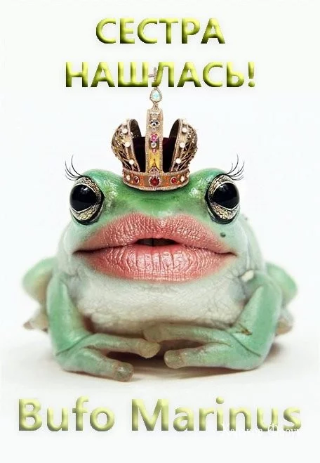 f4e3358dcbde9ef1af.webp
