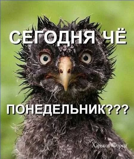 f4e7a3330a35619a3e.webp