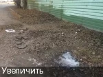 f4fgfg.webp