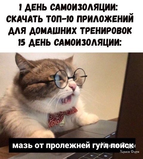 f50172c9dc4759e40beab8a.jpg