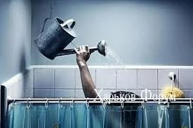 f5278f39e7b378897e7e1.webp