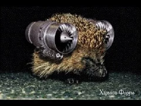 f54736d5ac111669f060f17c.webp