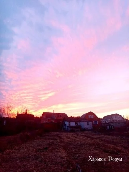 f5561775b6a9fd3366daf.webp