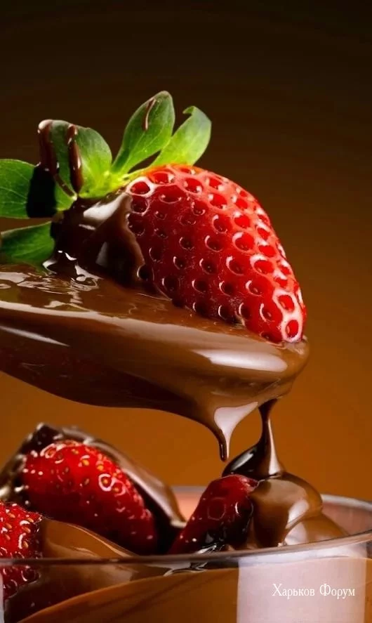 f55dbff008065e0be.webp