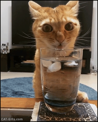 f5704a692385aa995766de3c.gif