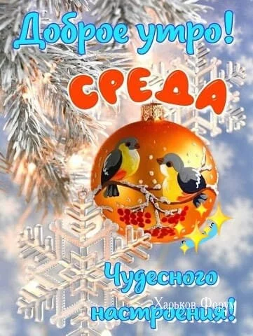 f57417b529ad5382dd2242b0.webp
