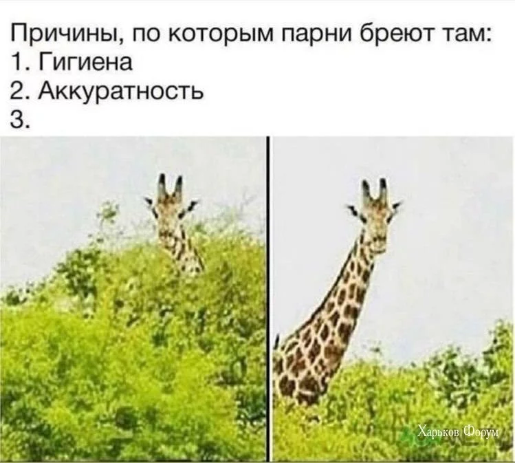 f57626c9440fa7d9fb0.webp
