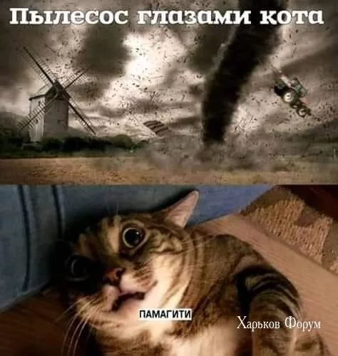 f57a58583ac0389a09.webp