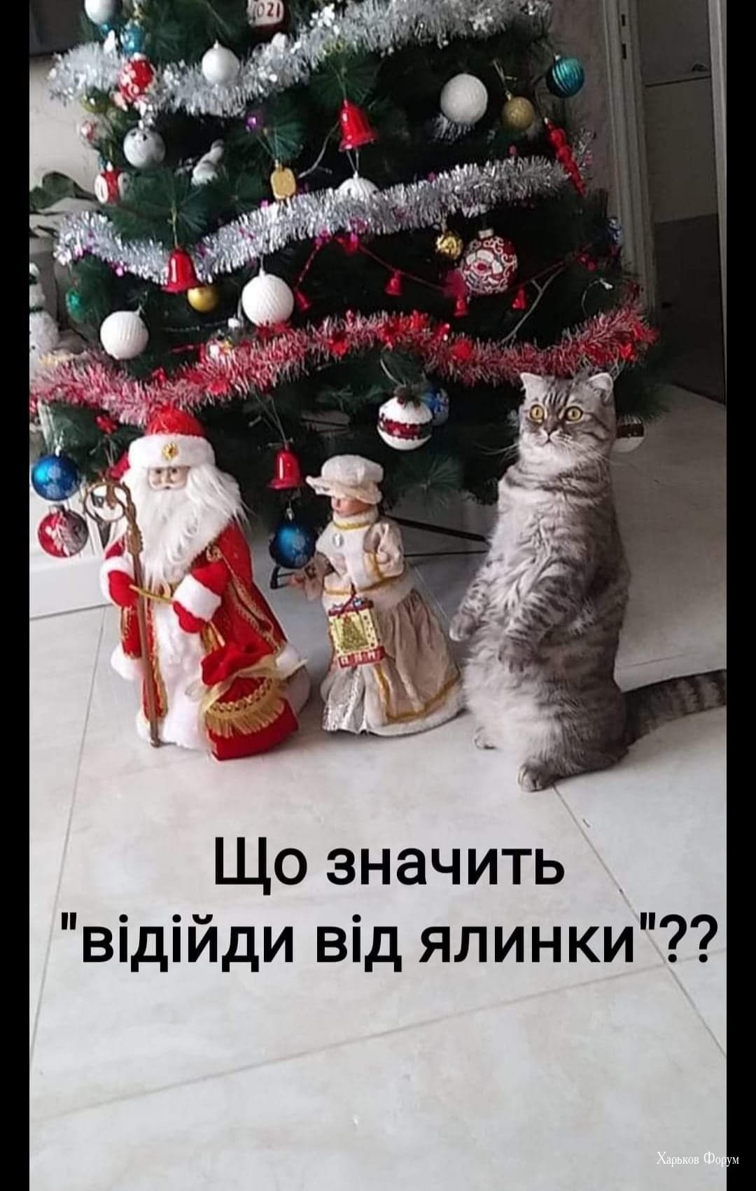 f5897b32b790cf67d8fb32f.jpg