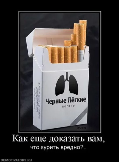 f58f6ee517.webp