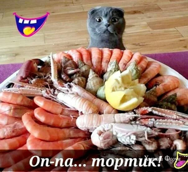 f59b55580f282652f8d7.webp