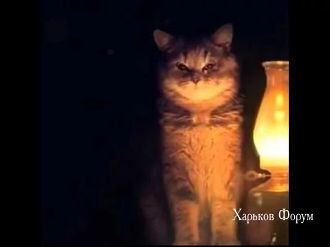 f5a19ae94eb5f3803b707.webp