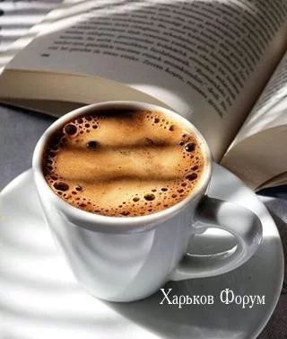 f5a52720fca7902b2209f.webp