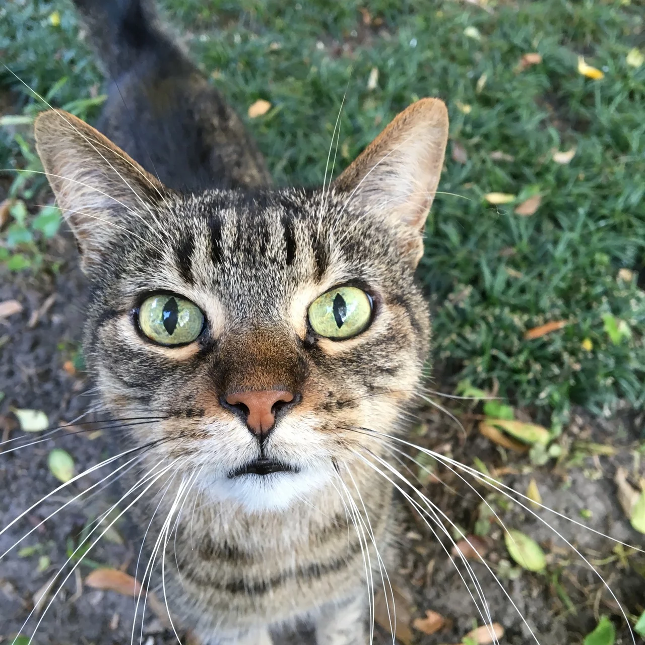 f5abeb.webp