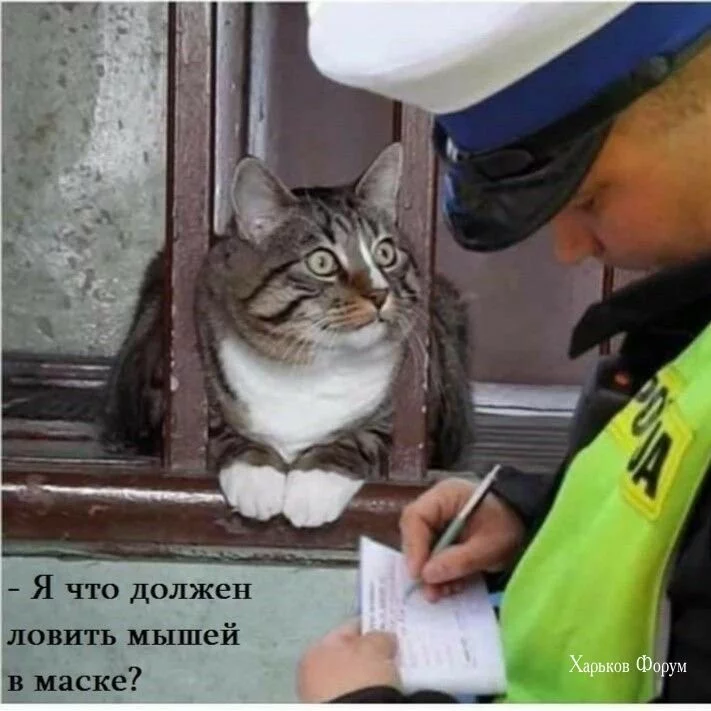 f5ad21042bb49df25e4dc.webp