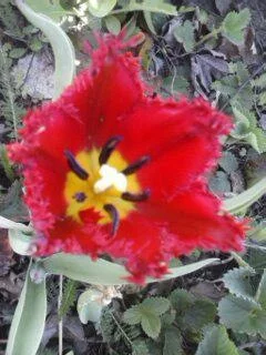 f5bdcg.webp