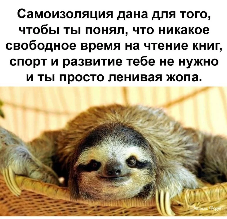 f5cd6bb97824929d3a74.webp