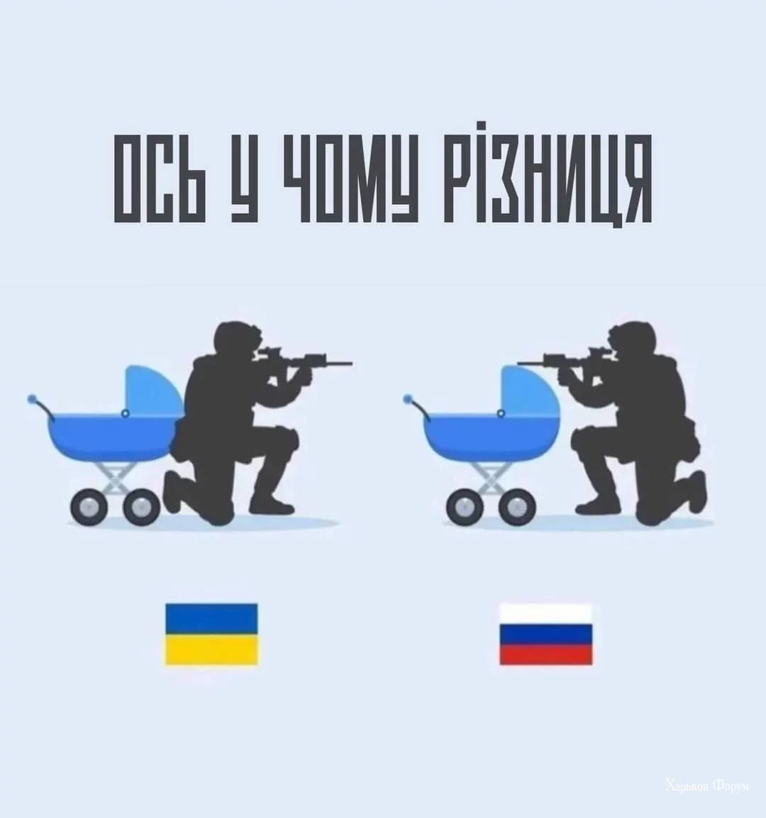 f5d72fc0b27b160ebbe047.webp