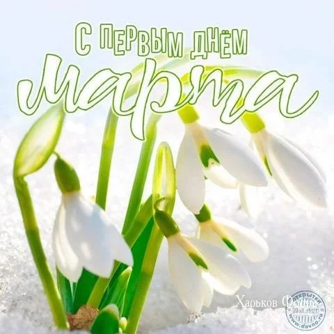 f5dc18f64827ff30.webp