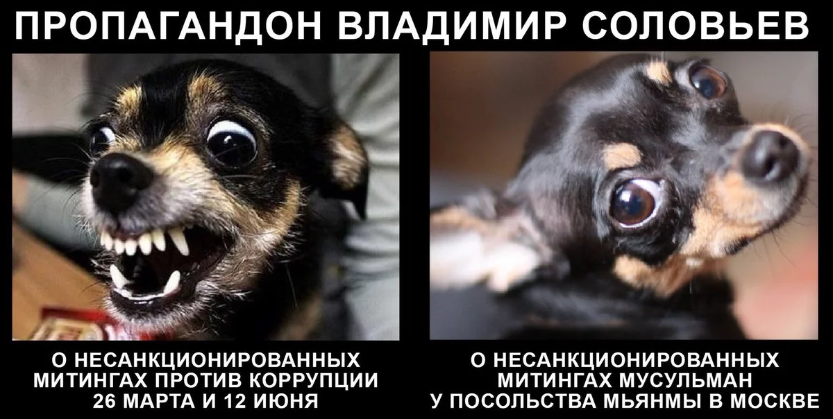 f5dcff.webp