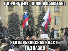 f5fcc564435332f537d546c315c2bd84.webp