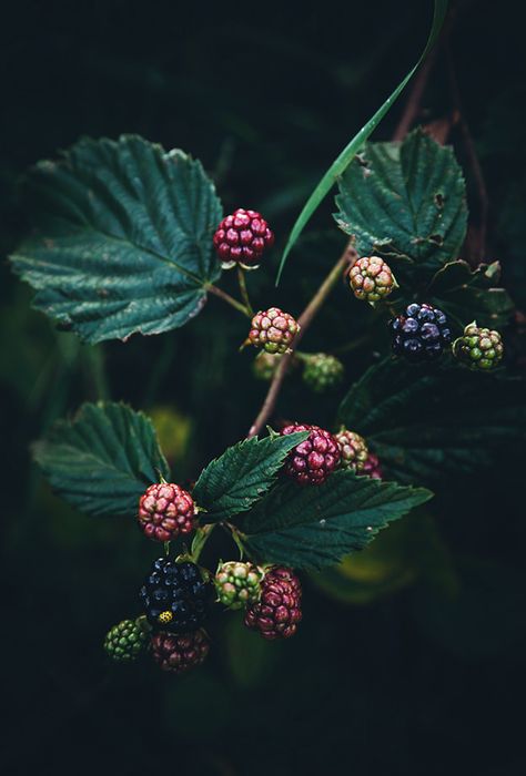 f62aa0bba46fa96c4423f349931f12ea.jpg