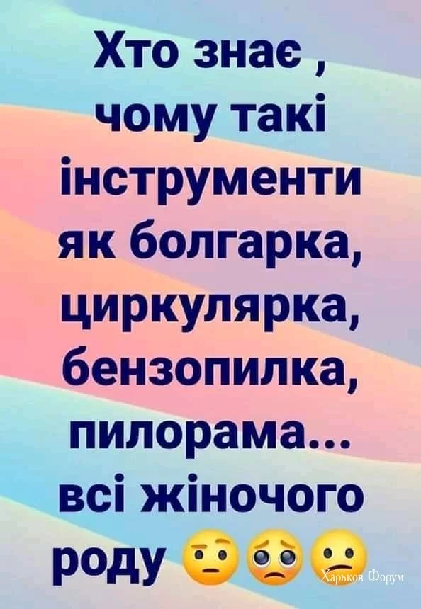 f631503dc3d84988a.webp