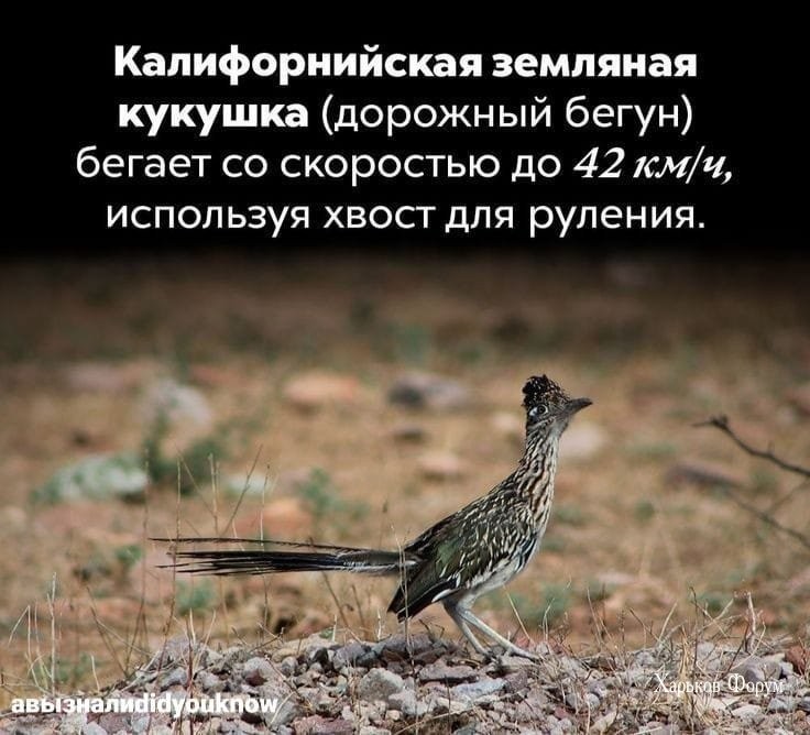 f632701d63473bdbcb3fef.jpg
