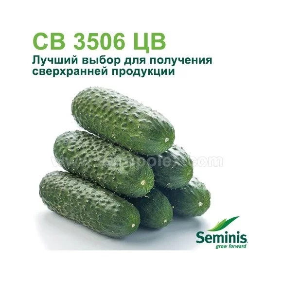 f63ca9b0924dfefea3d.webp