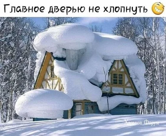 f64fce30f0aa1df3d5.webp