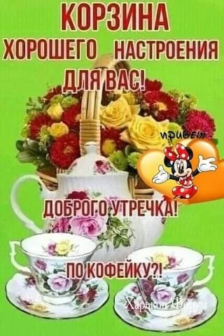 f666b35cbf39313b471.webp