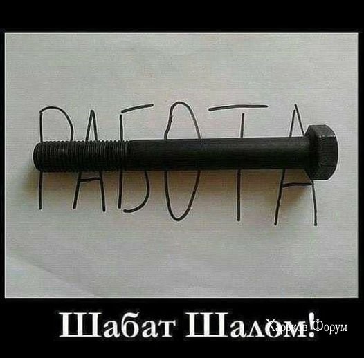 f677a6374b73a78c3dd.jpg