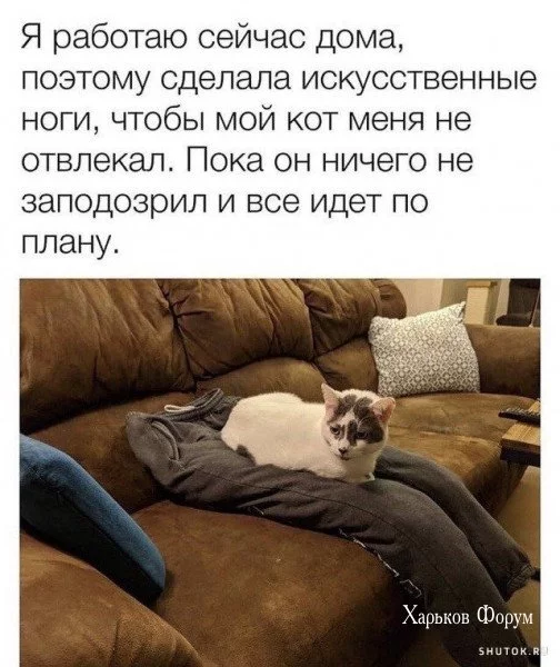f6799ae9a48bc8d3c65aba.webp