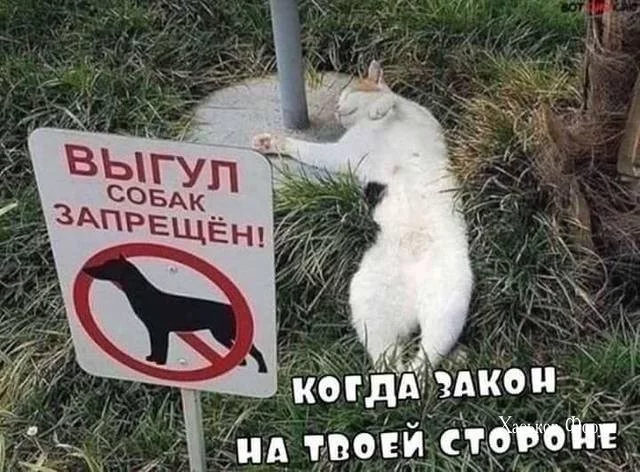 f67bca8b4bbb0f03b033468d.webp