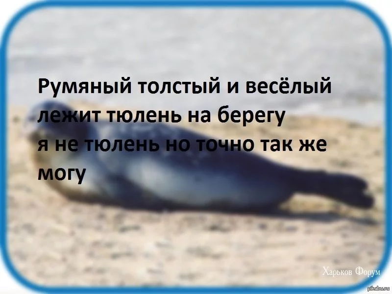 f692cdf76ce356a39c0284d3.webp