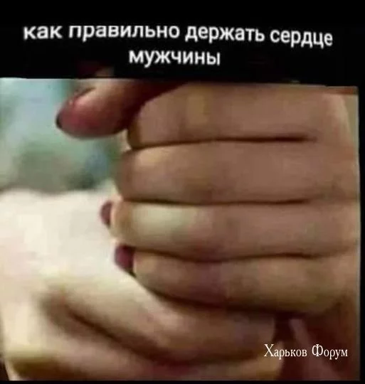 f6a42ef322b33df2f8b851.webp