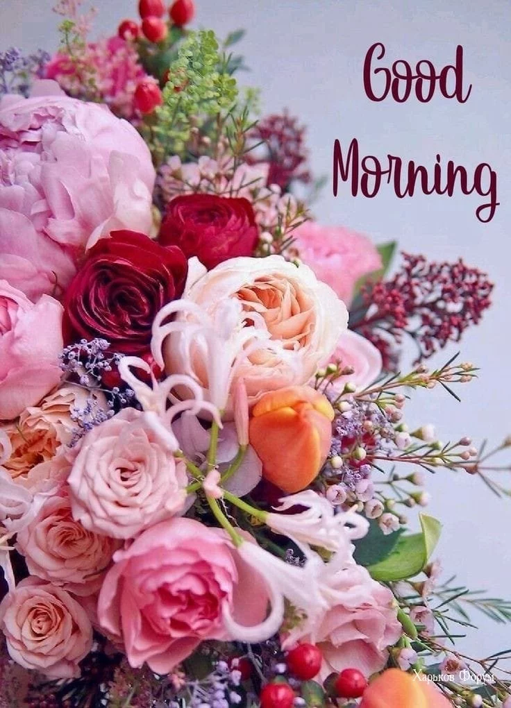 f6ab8ac49945c75c1cac9ec.webp