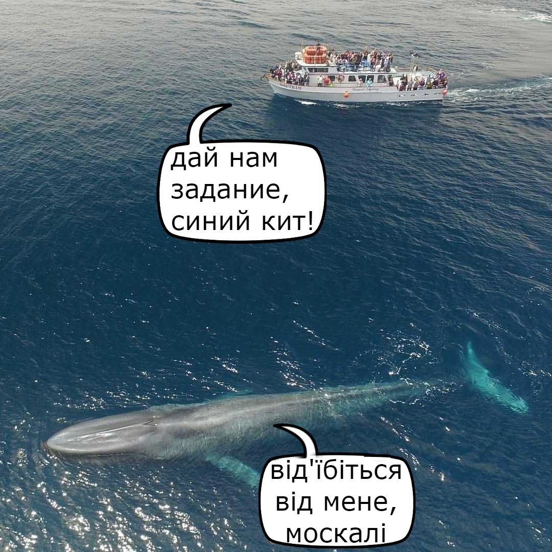 f6abjh.jpg