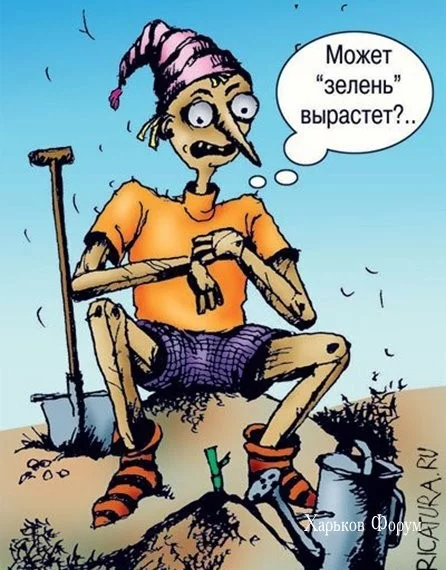 f6b1c26b59ec3b560bf8.webp