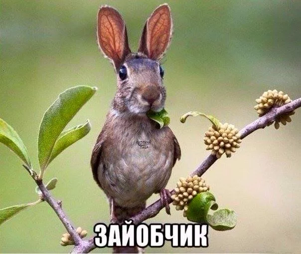 f6bgja.webp