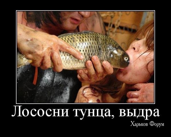 f6c1dfe3eeacf8ef8cdb8d6.jpg