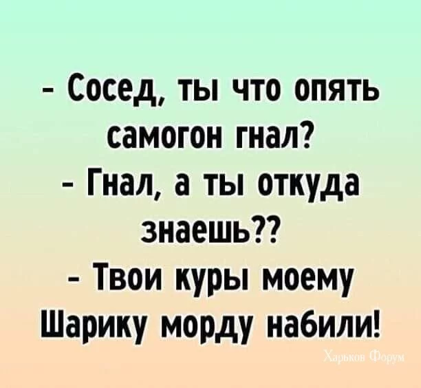 f6c6b92a2b08aa1a55b32d.webp
