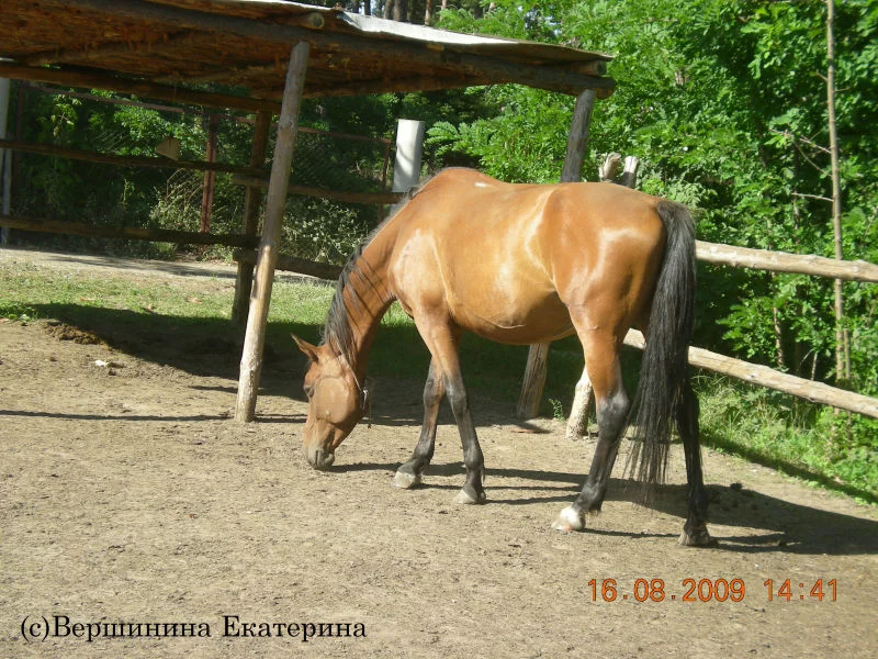 f6d749ca.webp