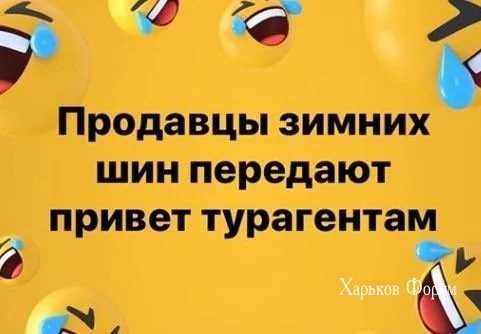 f6f9dc46ba4ab136d73c08.webp