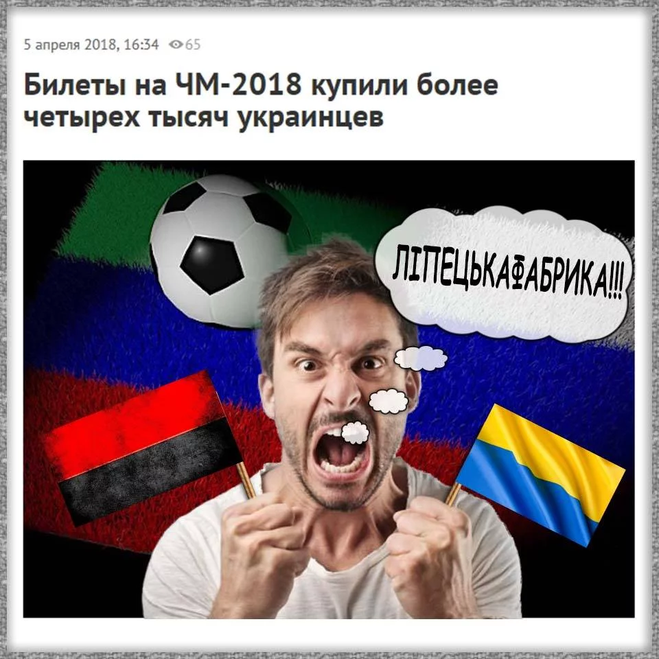 f6feej.webp
